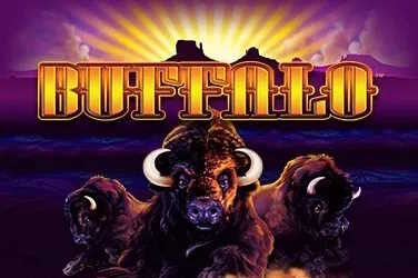 Buffalo